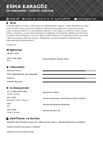 Yönetici Asistanı Cv Örnekleri cv indir